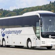 Niedermayer-Busse 002-1